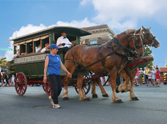 horse drawn wagon in parade