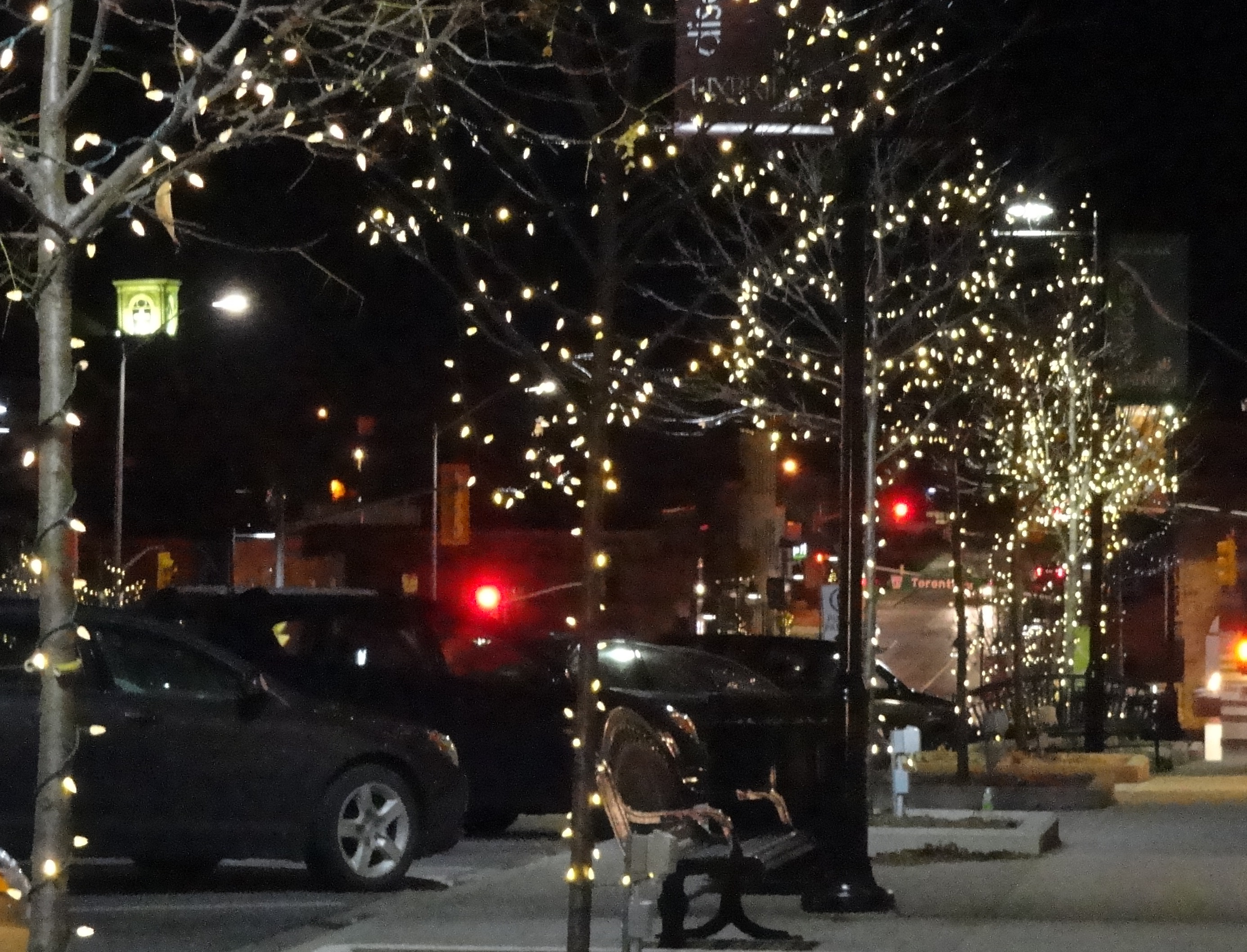 twinkle lights along Brock St
