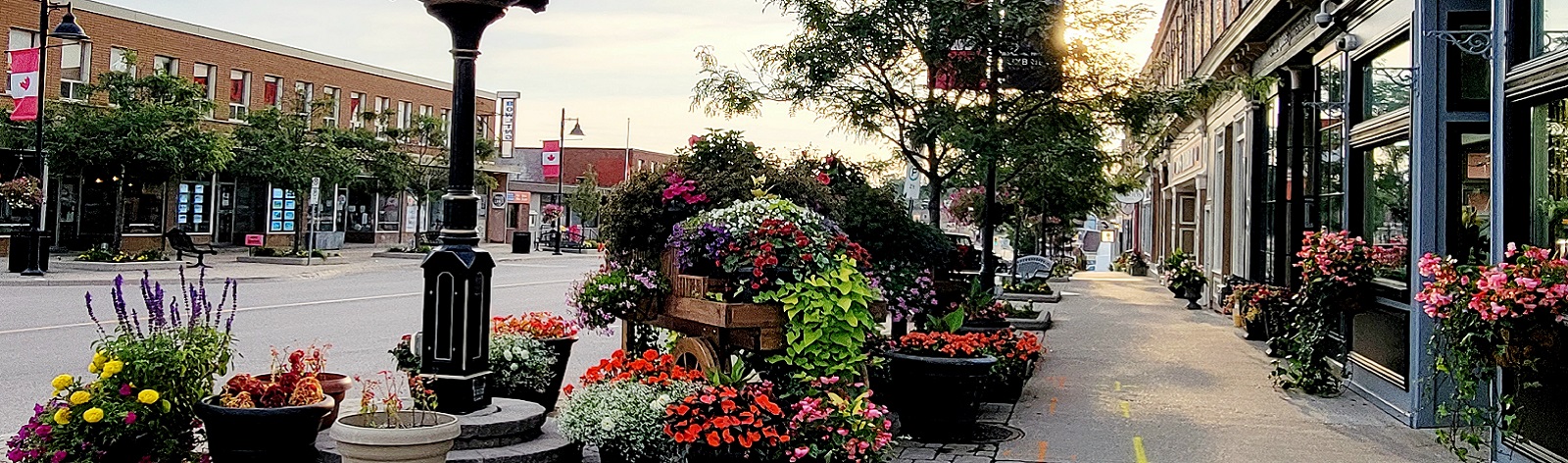 Brock Street flowers