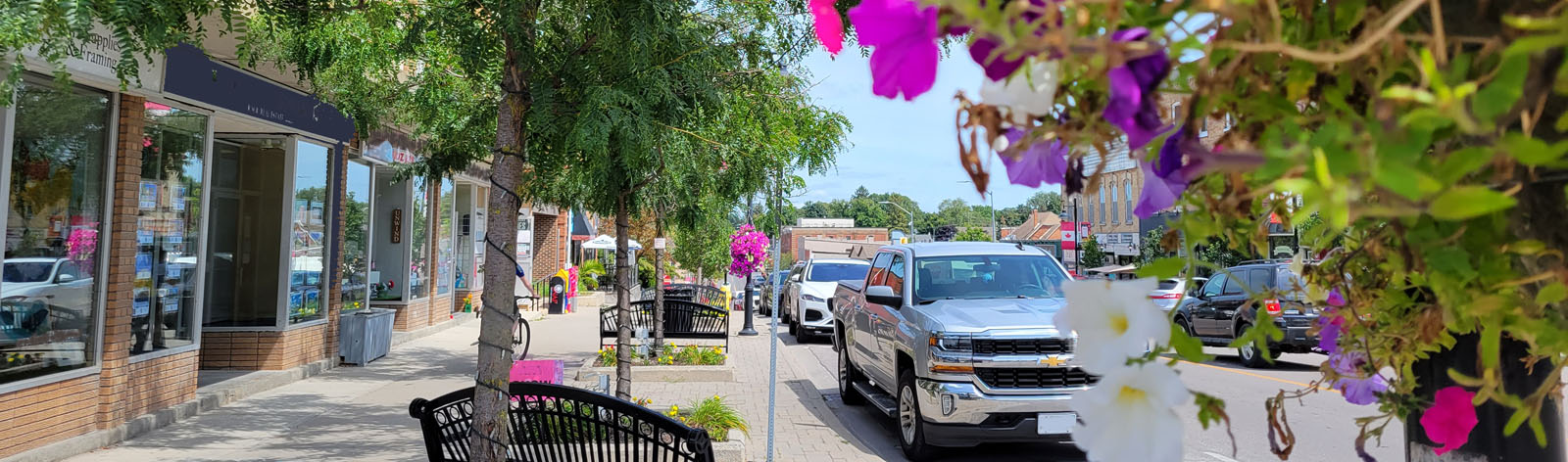 view through flower baskets of upper brock north side businesses