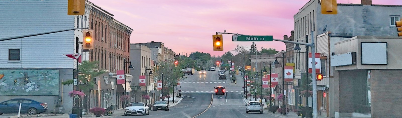 streetscape lower brock 