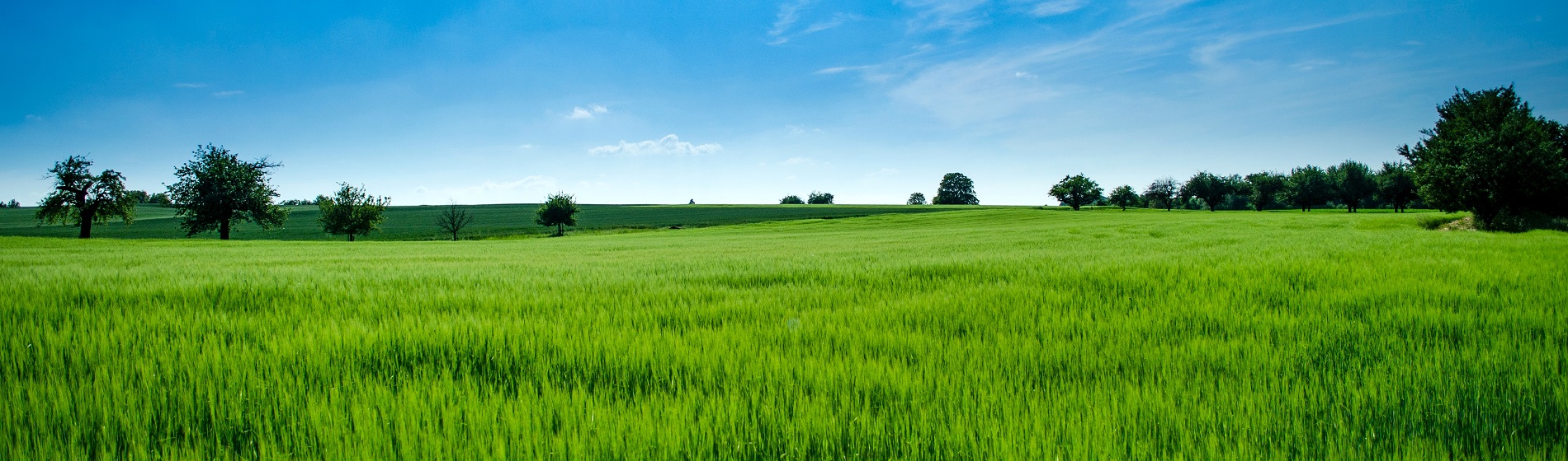 view of field and sky