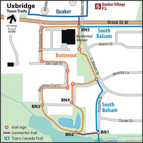 butternut trail map