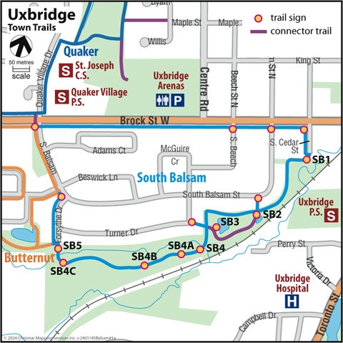 south balsam trail map