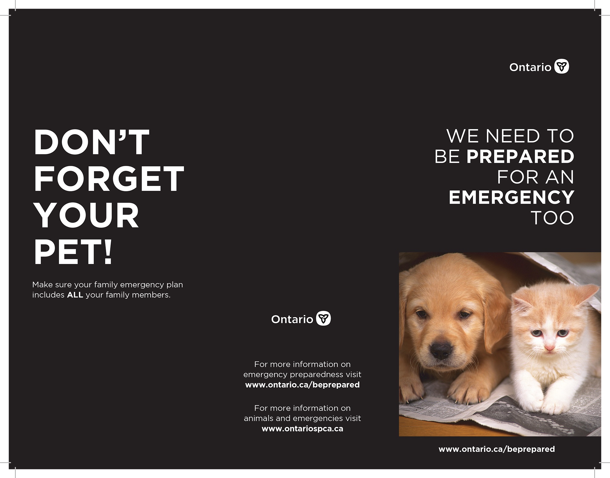 emergency preparedness for pets 1