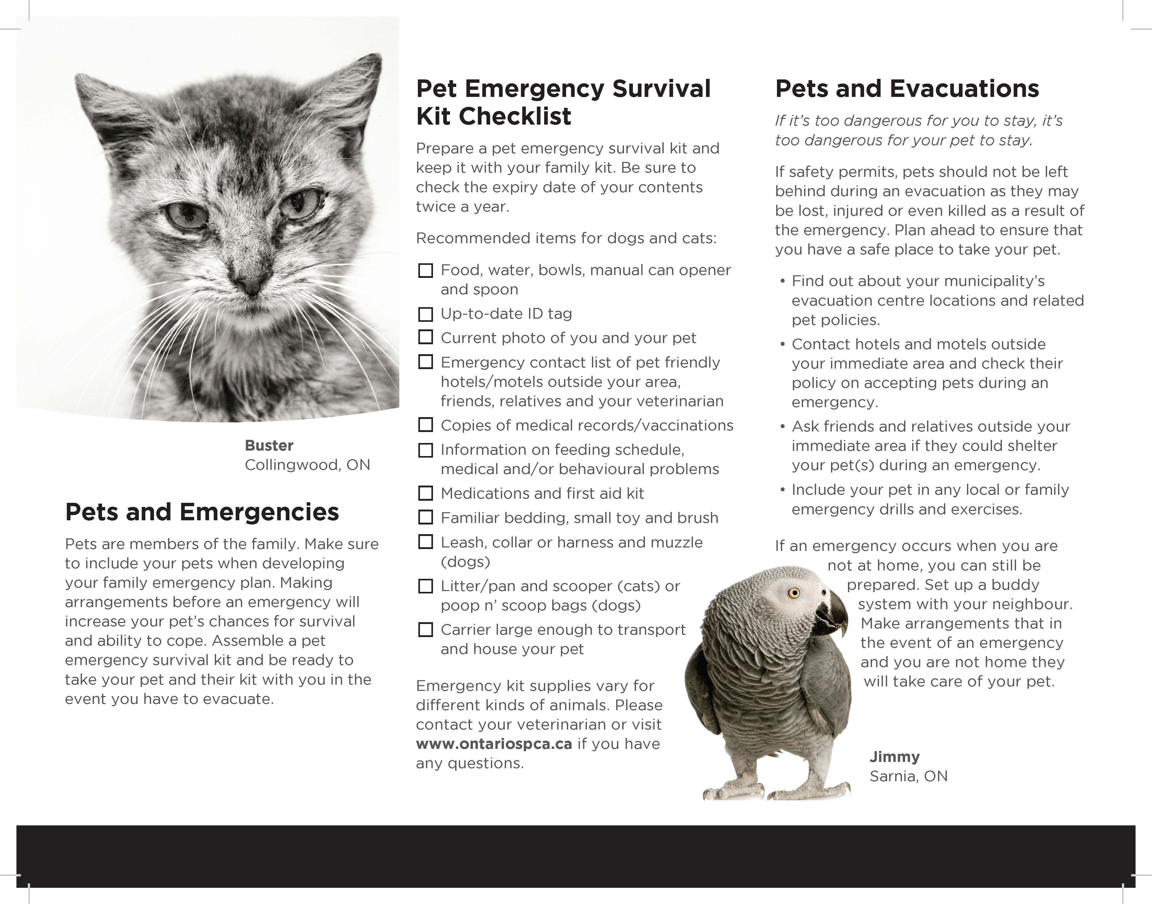 emergency preparedness for pets 2