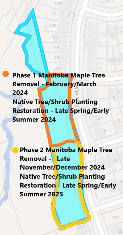 2nd Avenue tree removal map