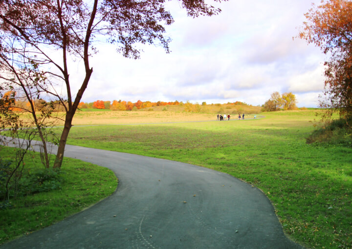 path with trees on the side and people walking in a distance