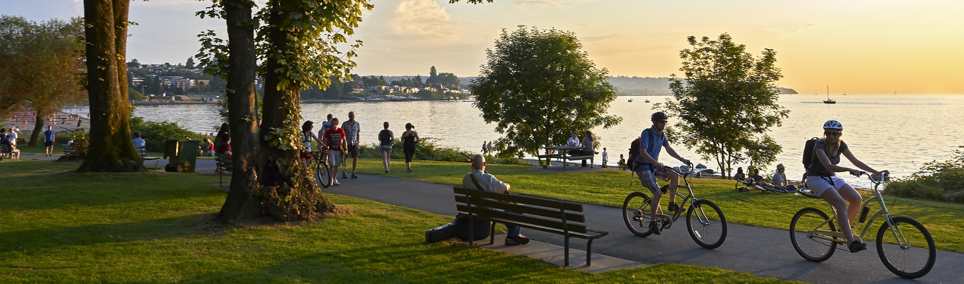 park by a lake with people walking, biking and sitting on benches