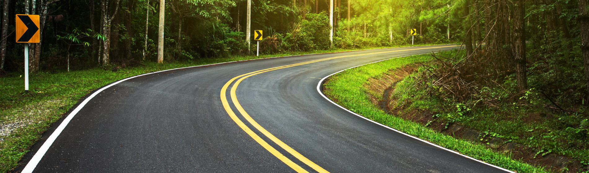 twisty forested roadway