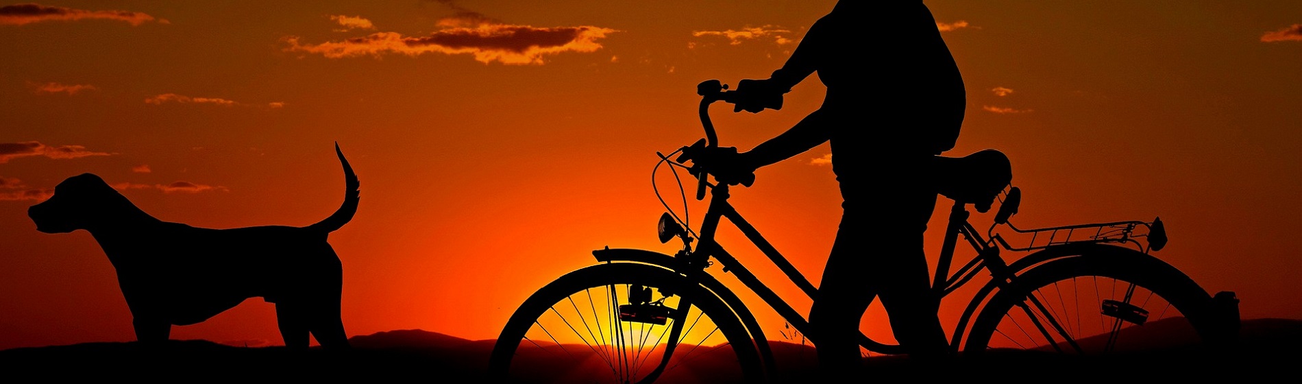 sunset view of woman walking dog and pushing bike