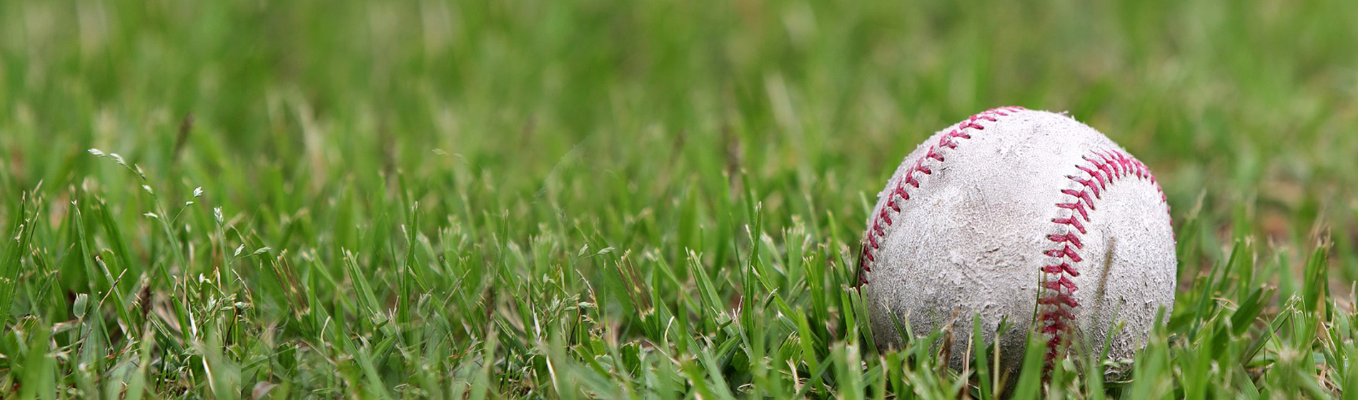 Grass field and a baseball